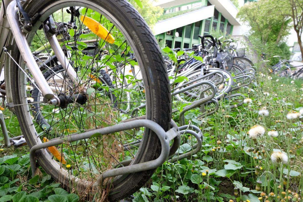 Der FahrradFriedhof vor dem Wohnheim Lautschrift