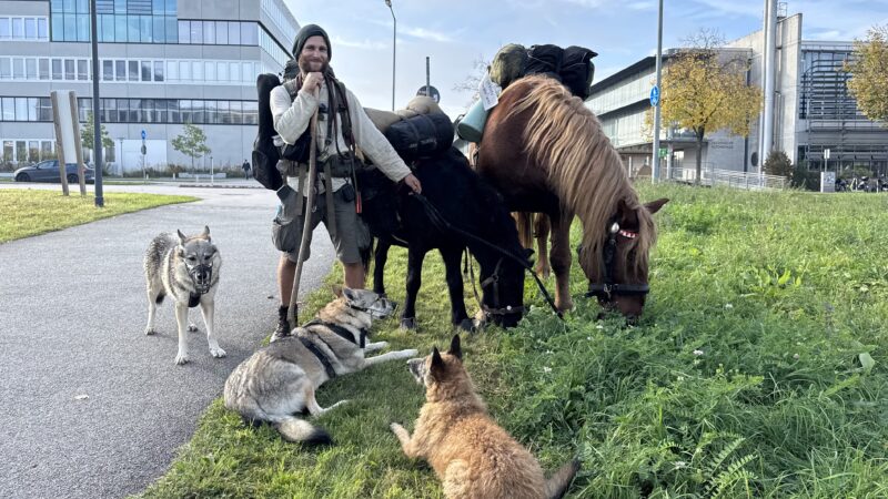 Auf der Durchreise: Skurrile Reisegruppe in Regensburg unterwegs