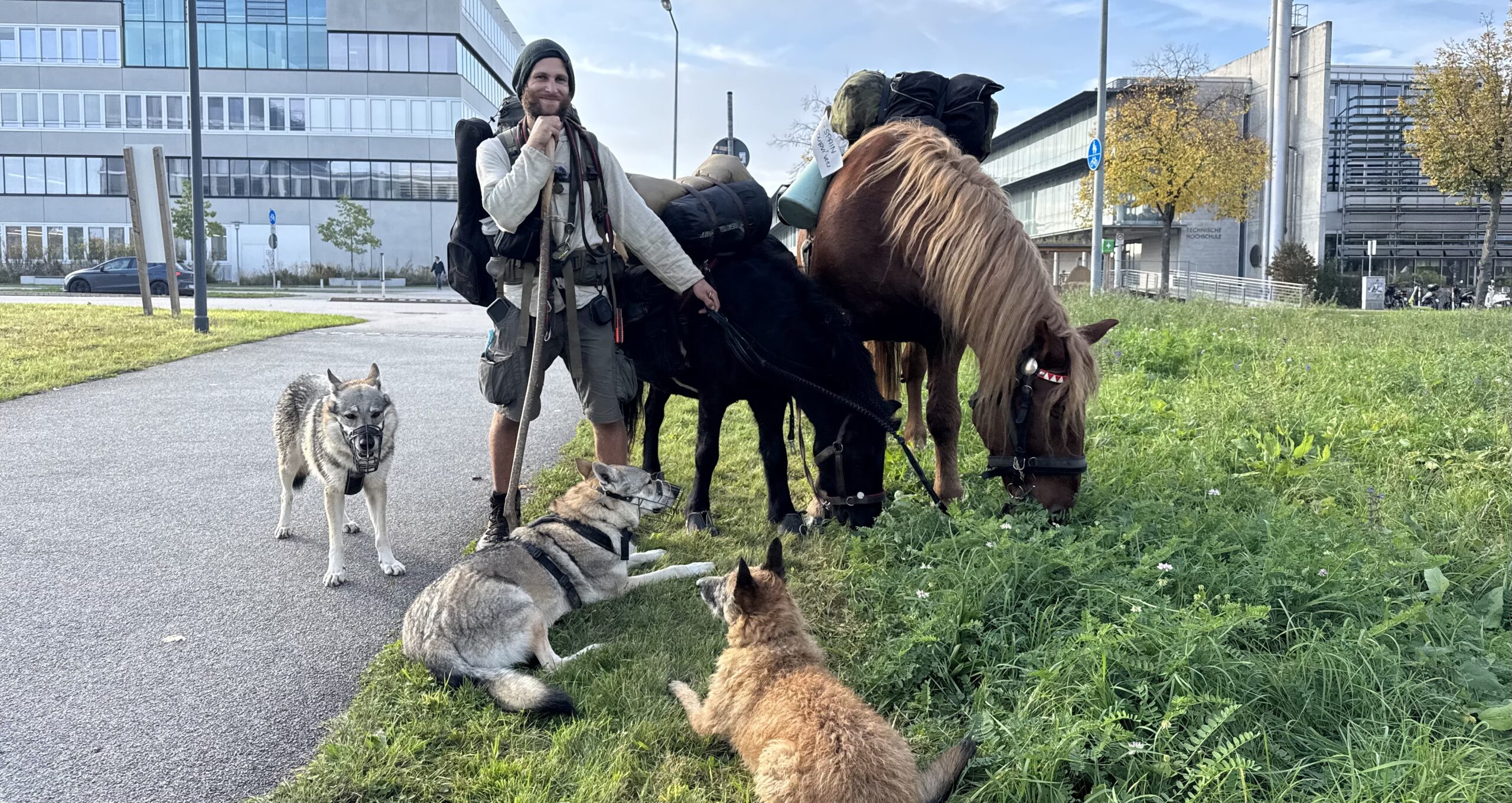 Auf der Durchreise: Skurrile Reisegruppe in Regensburg unterwegs